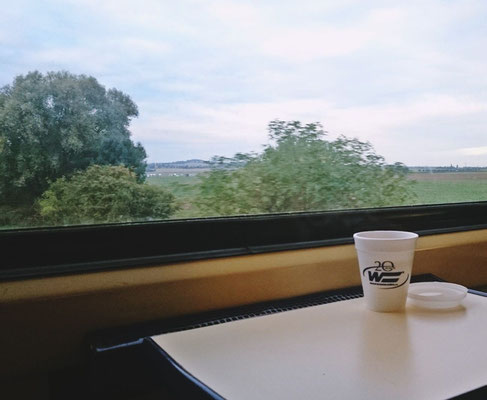 am Morgen
